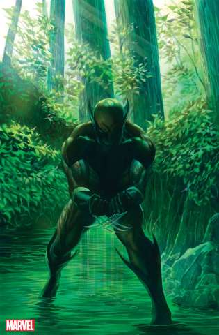 Wolverine #1 (Alex Ross Virgin Cover)