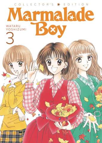 Marmalade Boy Vol. 3 (Collector's Edition)