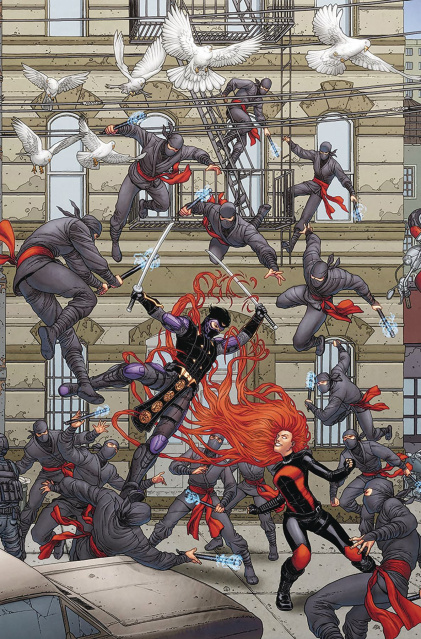 Ninjak vs. The Valiant Universe #3 (20 Copy Portela Cover)