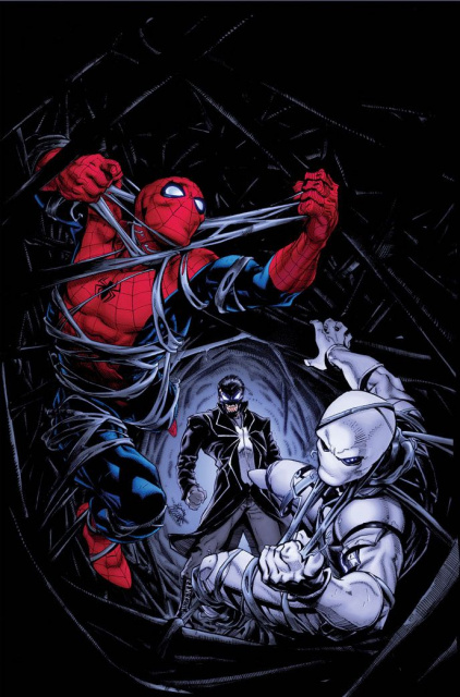The Amazing Spider-Man #792 (Stegman Cover)