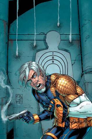 Deathstroke #14 (Variant Cover)