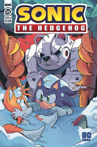 Sonic the Hedgehog #35 (Rothlisberger Cover)