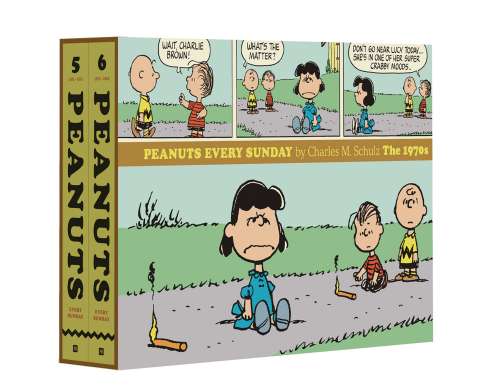 Peanuts Every Sunday The 1970s (Box Set)