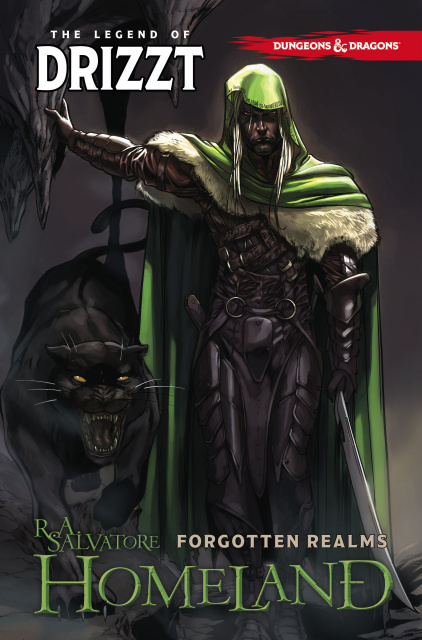 Dungeons & Dragons: The Legend of Drizzt Vol. 1: Homeland