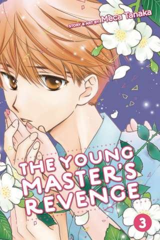 The Young Master's Revenge Vol. 3