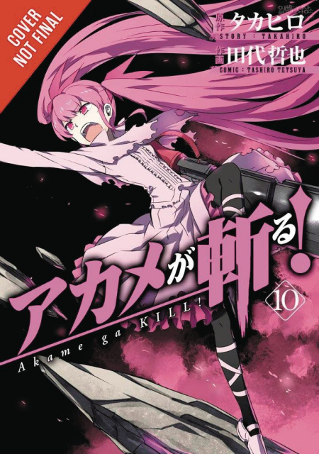 Akame Ga KILL! Vol. 10