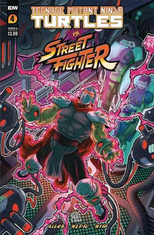 Teenage Mutant Ninja Turtles vs. Street Fighter #4 (Medel Cover)