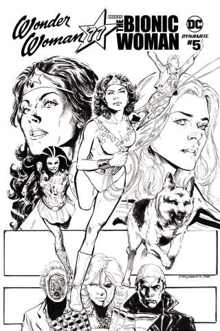 Wonder Woman '77 Meets The Bionic Woman #5 (25 Copy Cover)