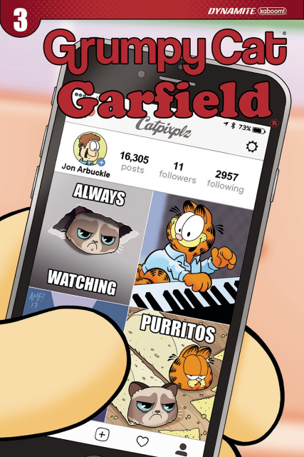 Grumpy Cat / Garfield #3 (Fleecs Cover)