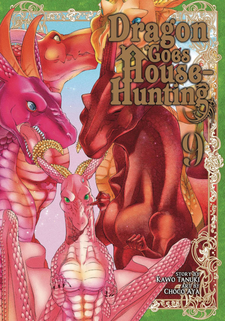 A Dragon Goes House Hunting Vol. 9