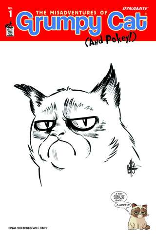 Grumpy Cat #1 (Haeser Hand Drawn Original Art Cover)