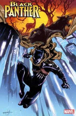 Black Panther #9 (Valerio Schiti Stormbreakers Cover)