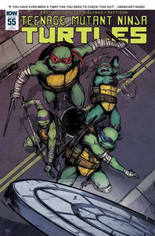 Teenage Mutant Ninja Turtles #55 (10 Copy Cover)