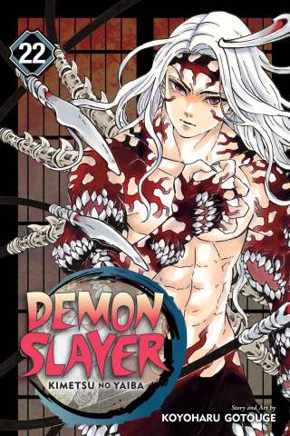 Demon Slayer: Kimetsu No Yaiba Vol. 22
