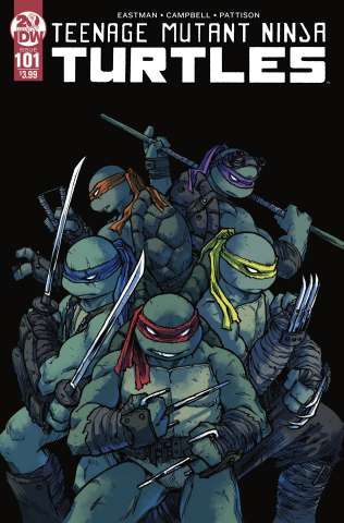 Teenage Mutant Ninja Turtles #101 (2nd Printing)