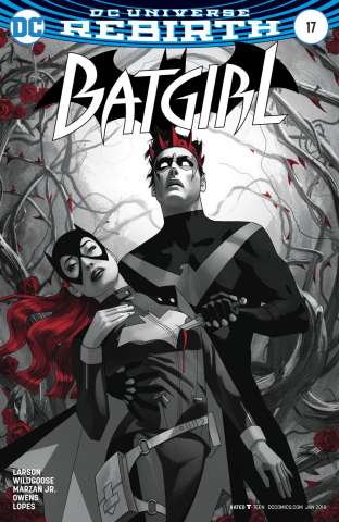 Batgirl #17 (Variant Cover)