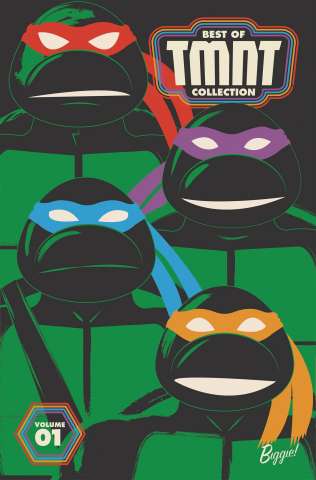 Teenage Mutant Ninja Turtles Vol. 1 (Best of TMNT Collection)