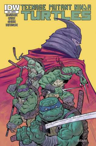 Teenage Mutant Ninja Turtles #42 (10 Copy Cover)