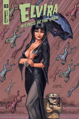 Elvira: Mistress of the Dark #4 (Linsner Cover)