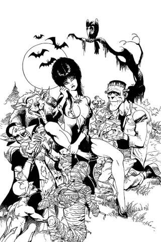Elvira: Mistress of the Dark #11 (21 Copy Castro B&W Virgin Cover)