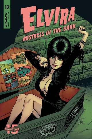 Elvira: Mistress of the Dark #12 (Cermak Cover)