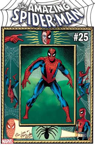 The Amazing Spider-Man #25 (Ditko Hidden Gem Cover)