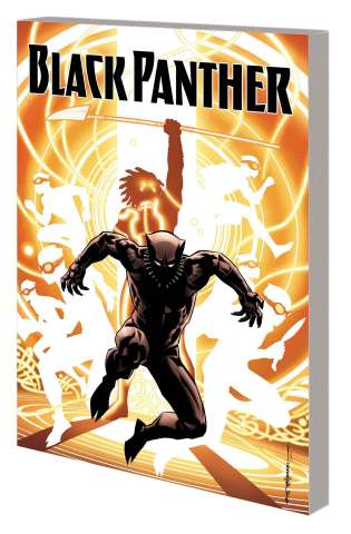 Black Panther Book 2: The Nation Under Our Feet