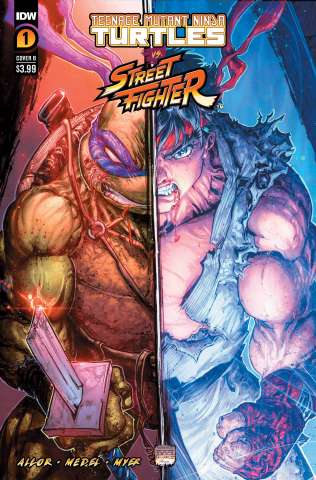 Teenage Mutant Ninja Turtles vs. Street Fighter #1 (Williams II Cover)