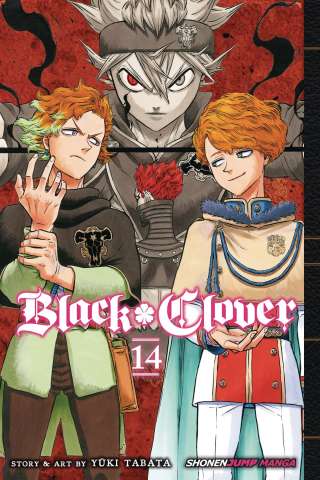Black Clover Vol. 14