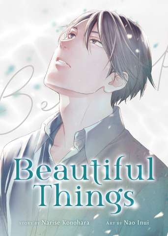 Beautiful Things (The Complete Manga Collection)