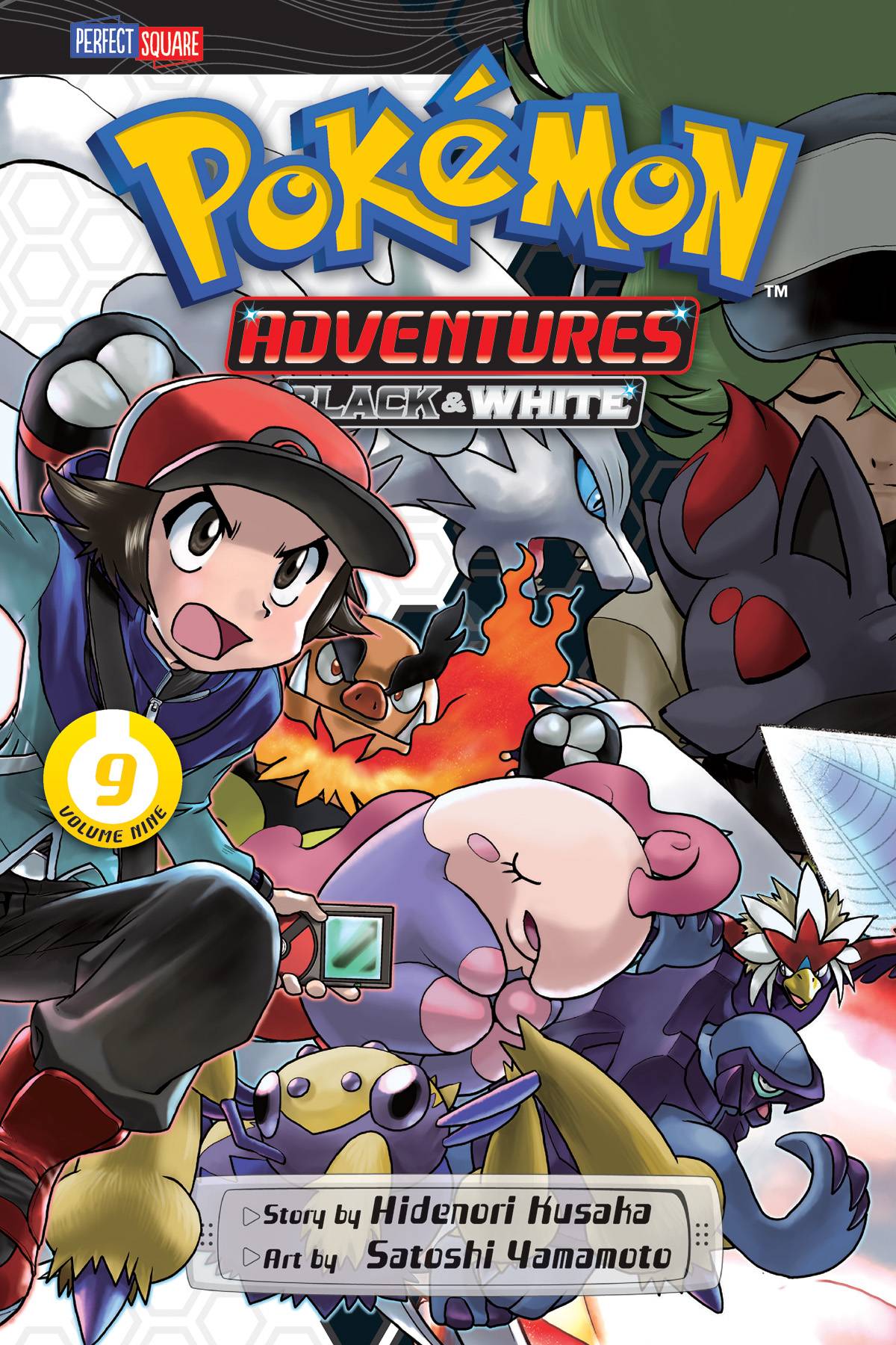 pokemon adventures black and white volume 4