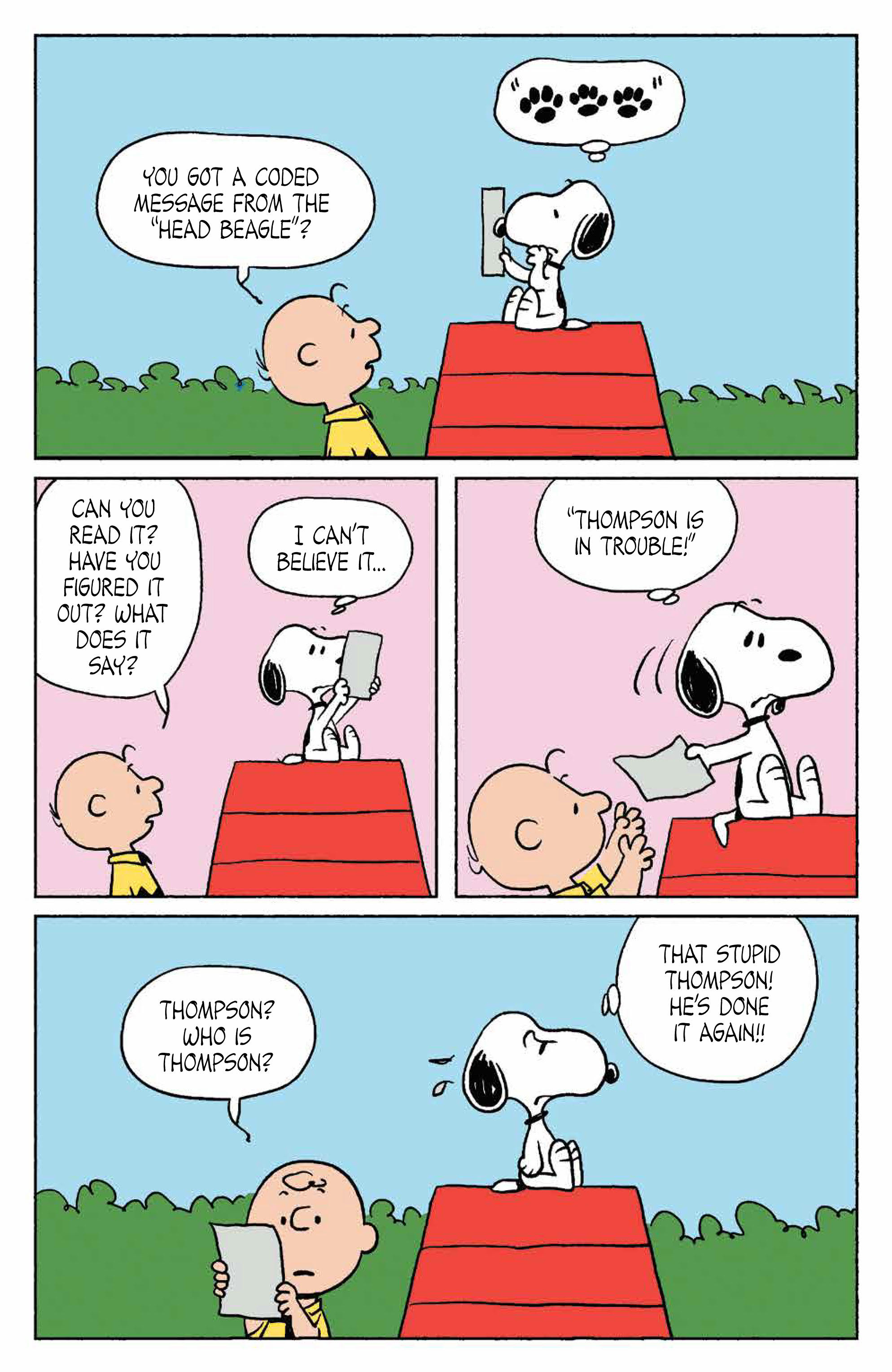 Peanuts Comic Strip